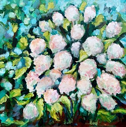 Hydrangea Folly 30 x 30