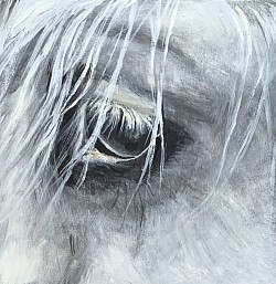 EyeOfTheStorm 8”x 8”black and white, horse’s eye, SOLD.