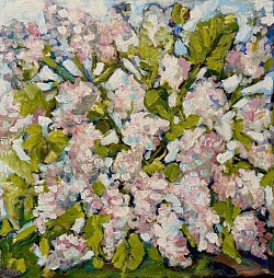 Hortensia Fou 20 x 20. Acrylic